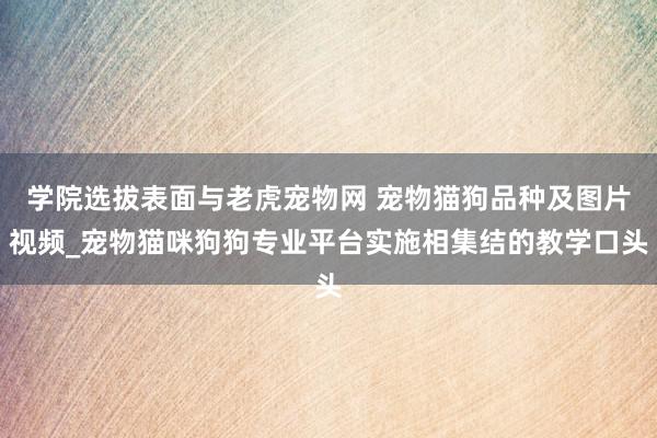 学院选拔表面与老虎宠物网 宠物猫狗品种及图片视频_宠物猫咪狗狗专业平台实施相集结的教学口头