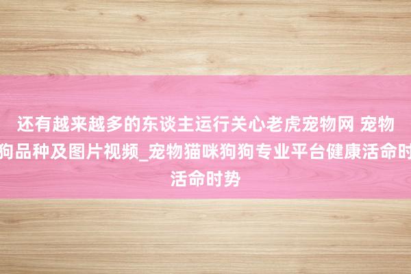 还有越来越多的东谈主运行关心老虎宠物网 宠物猫狗品种及图片视频_宠物猫咪狗狗专业平台健康活命时势