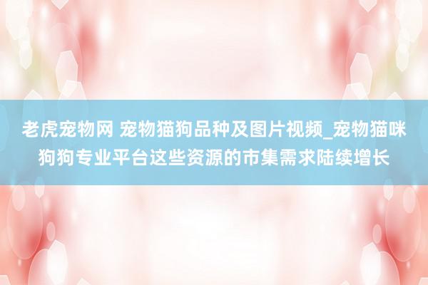 老虎宠物网 宠物猫狗品种及图片视频_宠物猫咪狗狗专业平台这些资源的市集需求陆续增长